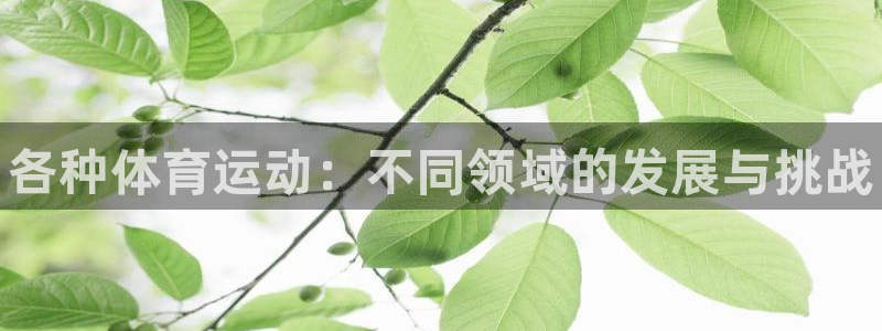 betway西汉姆